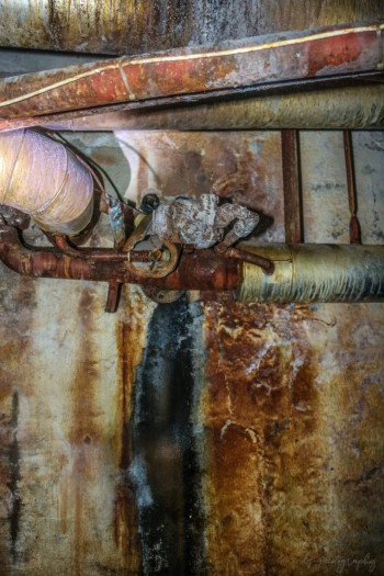 sanatorium, Sanatorium du Basil, DS-Photography