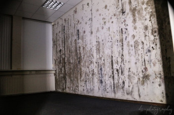 finance, Freeman Finance, DS-Photography