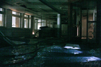 finance, Freeman Finance, DS-Photography