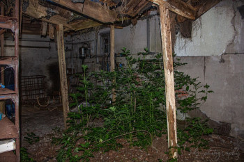 farm, Crooked Farm, DS-Photography