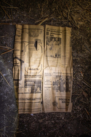 farm, Crooked Farm, DS-Photography