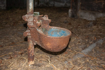 farm, Crooked Farm, DS-Photography